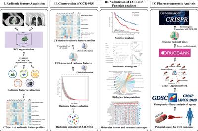 Predicting Chemo-Radiotherapy Sensitivity With Concordant Survival Benefit in Non-Small Cell Lung Cancer via Computed Tomography Derived Radiomic Features